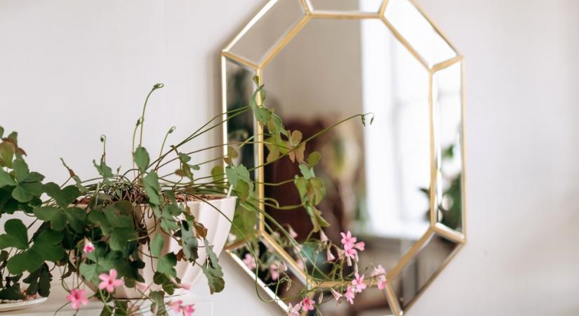 4 hely a lakásban, ahova SOHA ne akassz tükröt: szakértők árulták el, miért rossz ötlet!