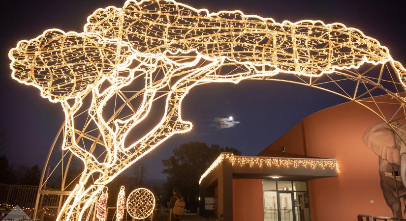 Fényes és ünnepi lesz az év utolsó Kifutón túl-ja