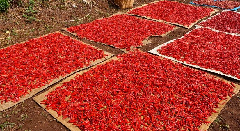 További támogatást kap az élelmiszeripar