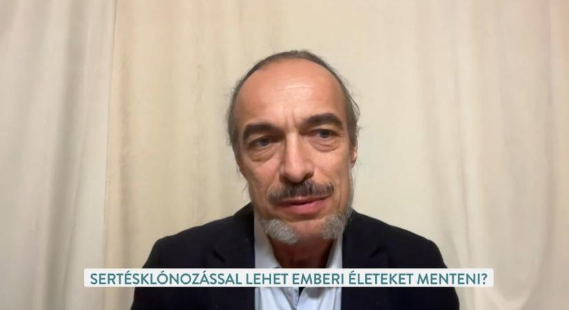 Klónozott házikedvencek és emberi szervek: Dr. Dinnyés András a jövő életmentő műtéteiről