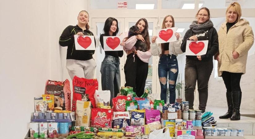 Menhelyi Állatok Karácsonya alkalmából gyűjtöttek adományokat hétfőn Egerben