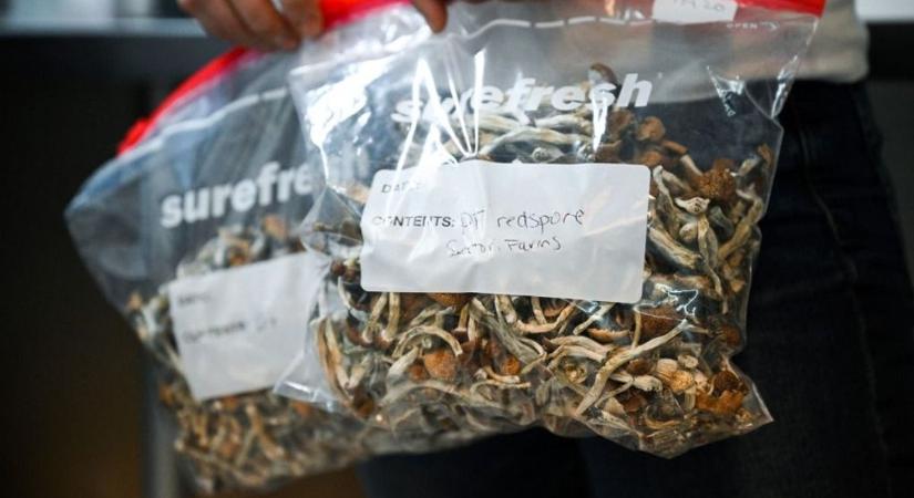 Az agy jutalmazó rendszere és az emlékek összefüggése a drogfüggőséggel