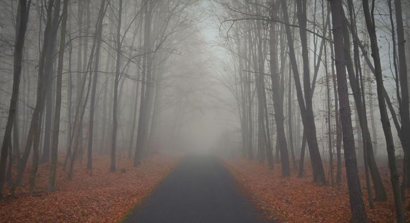Katalin egy évig várta haza testvérét, de az ügy nem várt fordulatot hozott