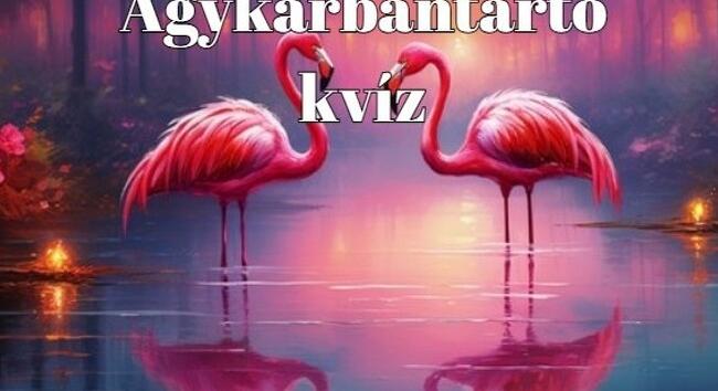 Hiányzott egy elmetorna? Ne keress tovább, napi kvíz érkezett