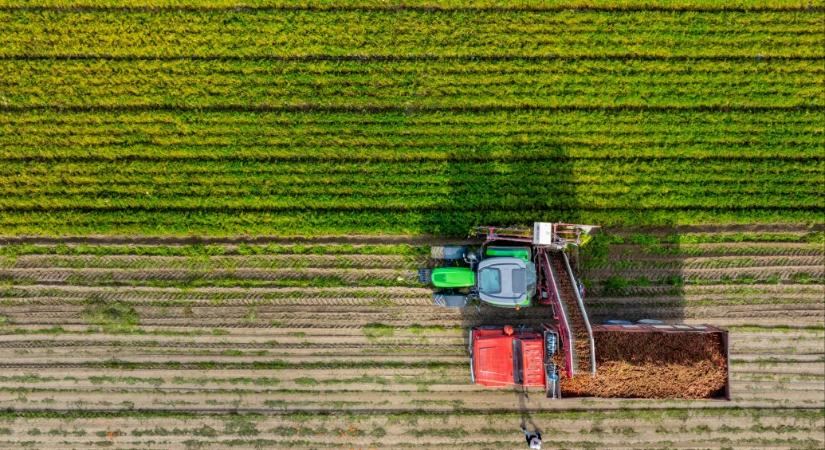 Csalás miatt visszavonták a tanulmányt, ami azt állította, hogy nem rákkeltő az EU-ban is használt gyomirtó