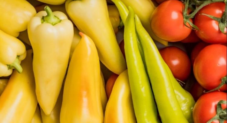 Fordulóponton a kertészeti beruházások?