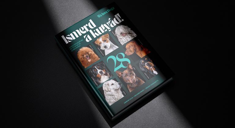 A yorkshire terrier is tud balettozni, de csak A hattyú halálát