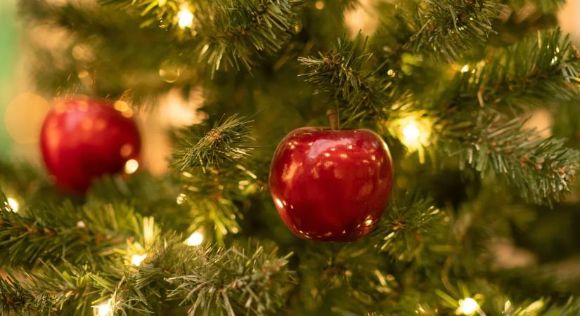 Tudod milyen titkokat rejtenek a karácsonyi szimbólumok? Most eláruljuk