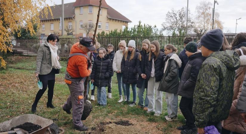 Faültetés az évforduló jegyében