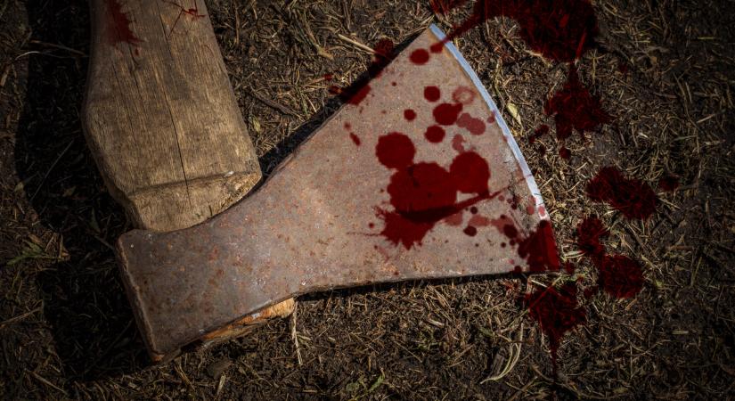 Elítélték az egerszegi darabolós gyilkost