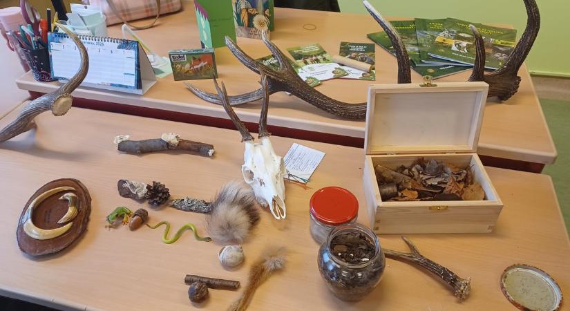 Sikeres pályázat és élménydús Erdei Iskola Program a Szent István Iskolában ( galéria)