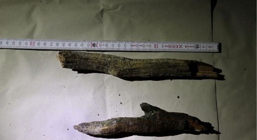 300 forintért verte szét áldozatát a dorogi támadó, végül a tokodi vasútállomáson fogták el