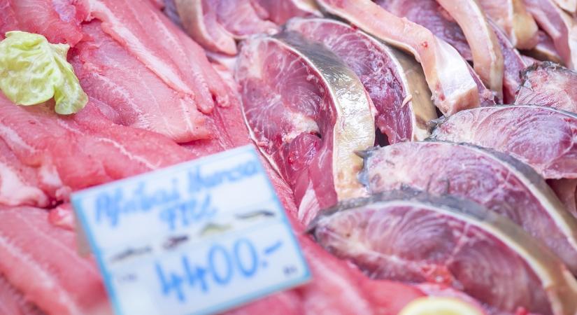 Halat enne karácsonykor? A miniszter elárulta, lesz-e elegendő belőle