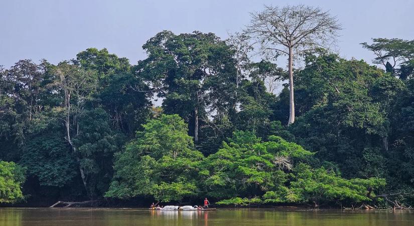 Afrika erdői már nem elnyelik a szenet, hanem kibocsátják