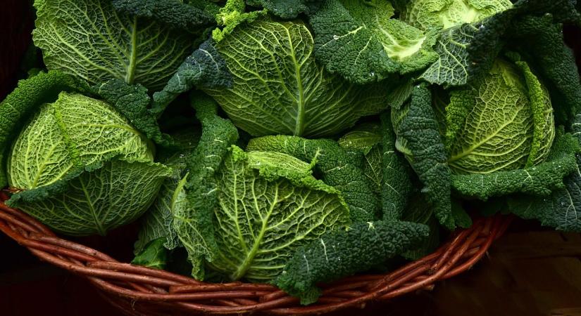 Téli veteményeskert: mit szüretelünk télen?