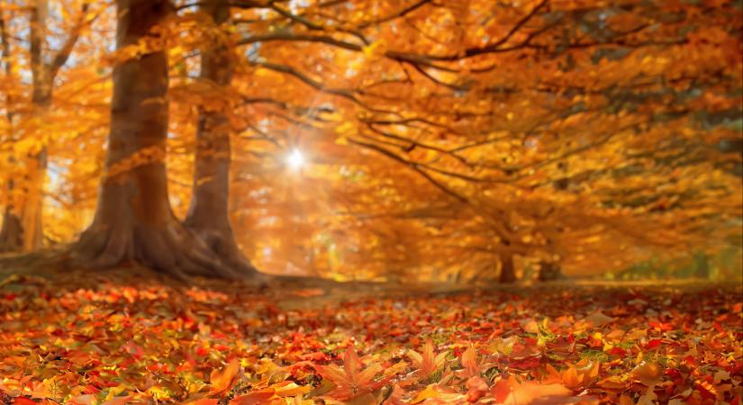 Európában eddig csak háromszor történt ilyen