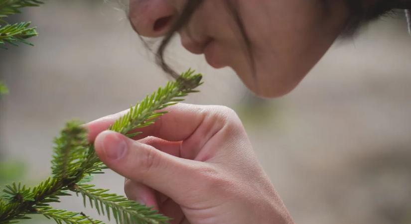 Megvan az illat, ami mindenkit boldoggá tesz