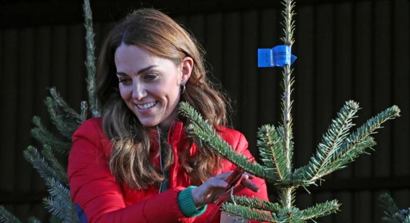 Kiderült Katalin titkos karácsonyfa-szabálya: csak így hajlandó díszíteni