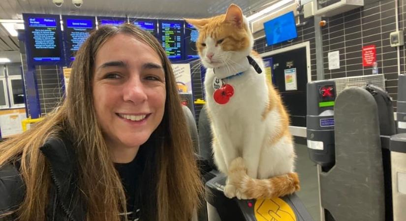 Szobrot állítanak az utasok a macskának, aki a vasútállomáson fogadt őket éveken át