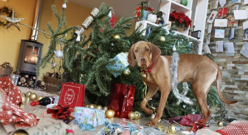 Kigyulladt sütő, csőtörés, elszállt fűtésrendszer: így előzheted meg a karácsonyi rémálmot