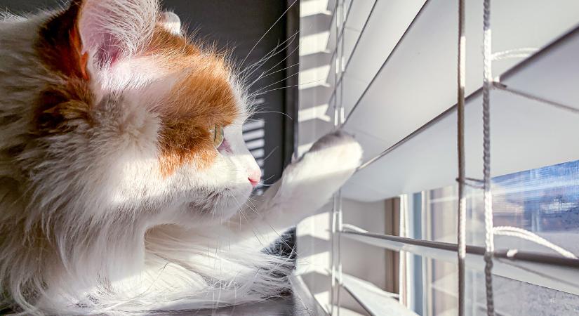 30 éve nem volt ilyen tél