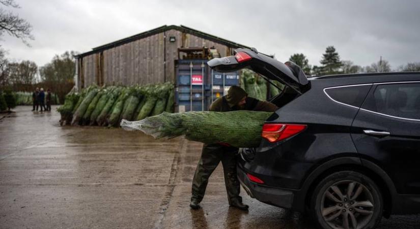 A karácsonyfa miatt jöhet a bírság: sok autós elfeledkezik erről