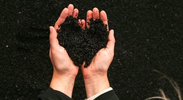 Természet és technológia: a jövő együttese