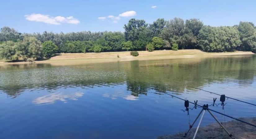 A hely, ahol minden dunai hal ott úszik a lábad előtt: adonyi holtág