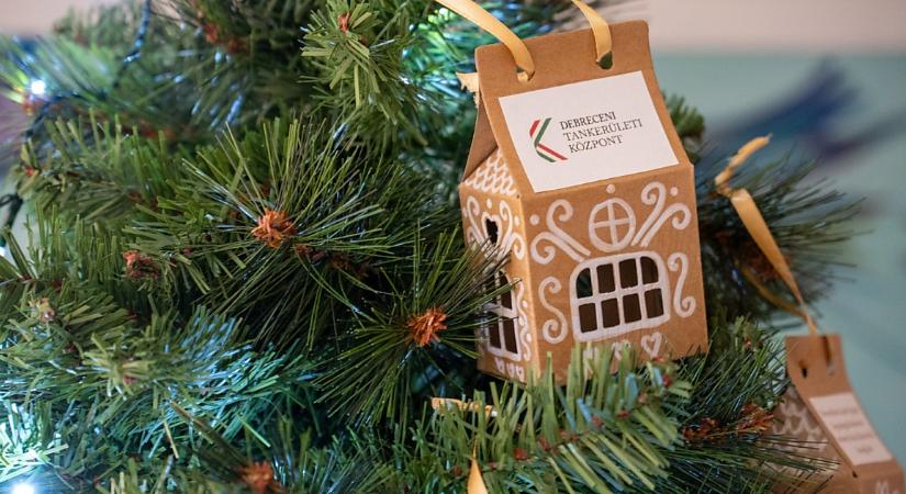 Már áll a Debreceni Tankerületi Központ karácsonyfája