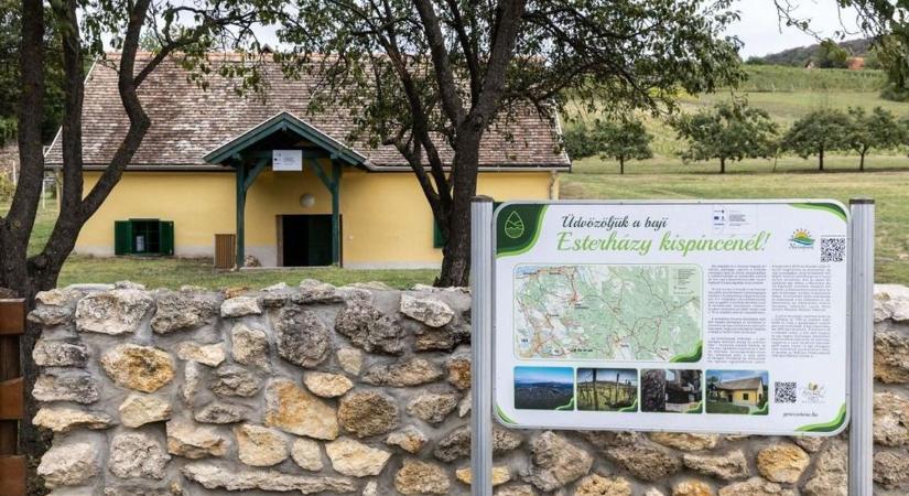 Rendezvénytér épül az Esterházy Kispince mellett - a fejlesztések már megkezdődtek