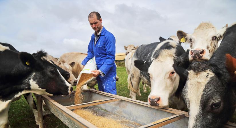 Beindultak a kifizetések: sok magyar örülhet, milliárdokat osztanak szét