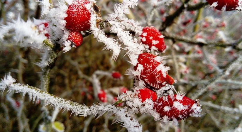 Napok maradtak: közeleg a határidő egy fontos fejlesztés támogatásának megszerzéséhez