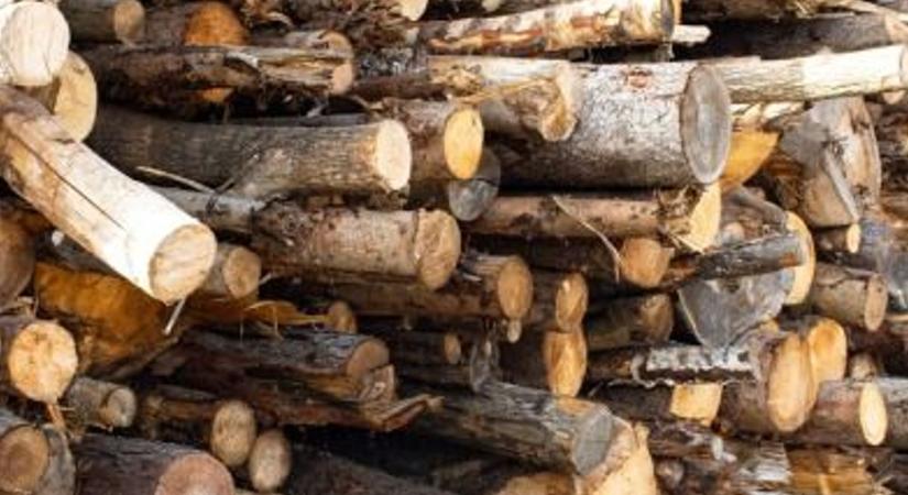 Újra felbukkantak a tűzifacsalók, online adatbázis segíti a biztonságos vásárlást