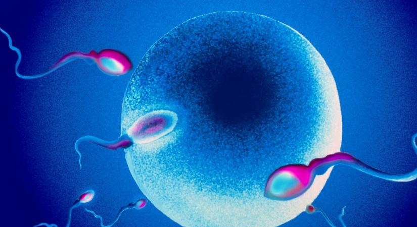 Egy a rák kockázatát növelő gént hordozó spermadonor közel 200 gyerek apja lehet Európa-szerte