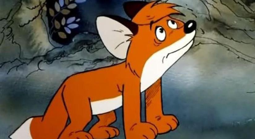 Ez a kis róka igaz története: így született meg a legendás Vuk - Kvíz ...