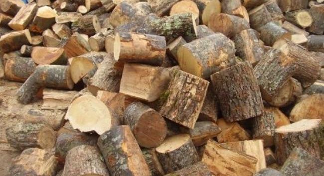 Megjelentek a tűzifacsalók: állami erdőgazdaságok és az E.ON nevét használják