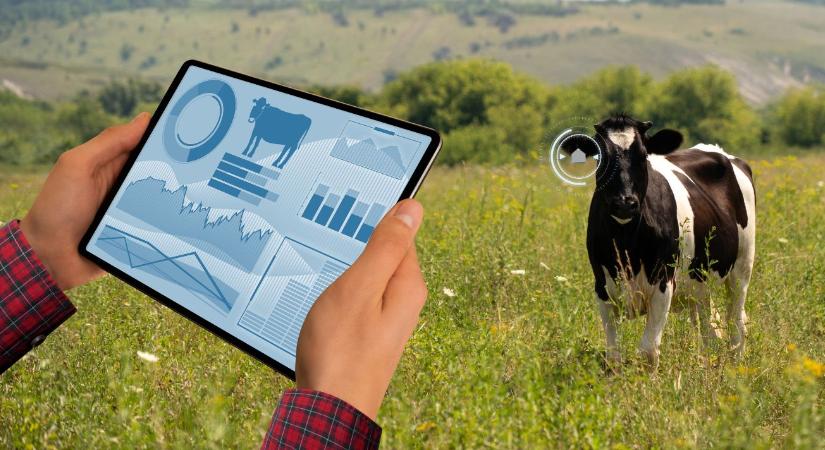 Folytatódik a MATE tudásmegosztó sorozata: fókuszban a precíziós állattenyésztés