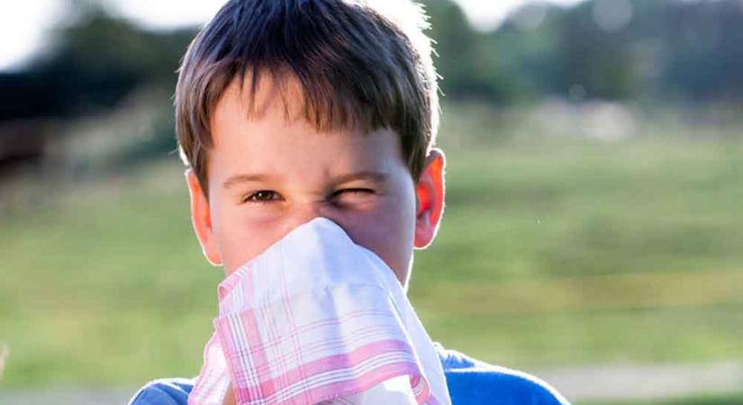 Máris jön az allergiaszezon? – Megjelentek az első allergének