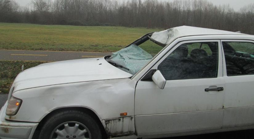 Vadat gázolt el egy autó Zalában – helyszíni fotók