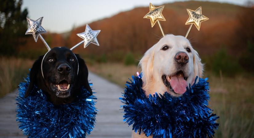 Ez a 3 csillagjegy óriási lelki megkönnyebbülést él át a következő hetekben