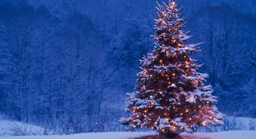 Már látni, fog-e havazni karácsonykor: térképen mutatjuk, hol várható hó