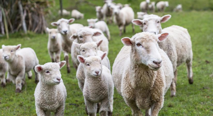 Binance-botrány: az igazgató fiókját feltörték, egy ismeretlen token árfolyama pedig azonnal kilőtt