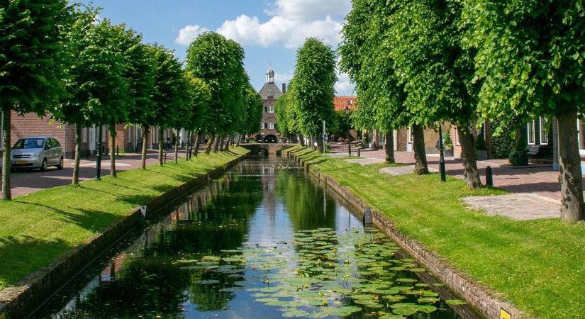 A városokban nincs olyan talaj, amiben egy növény jól érezheti magát