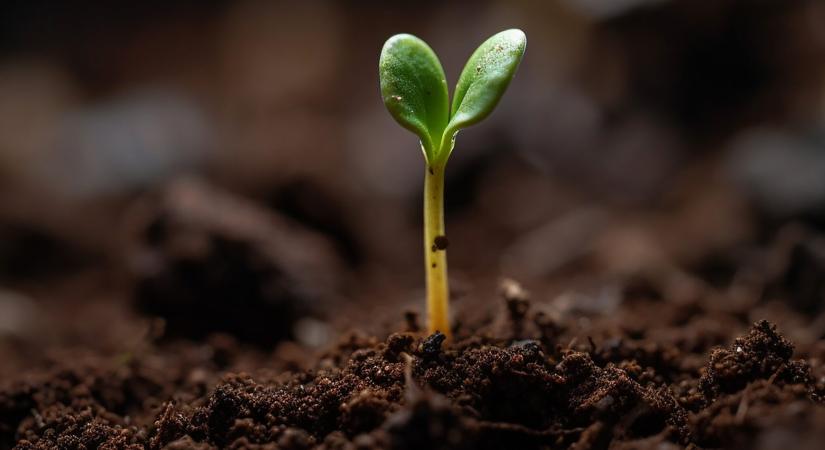 A magyar cégek is látják: az ESG-célok teljesítése nem csupán környezetvédelmi, üzleti érdek is