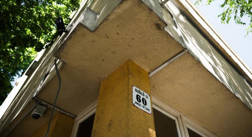 Telex: új igazgatót neveztek ki a Szőlő utcai intézet élére