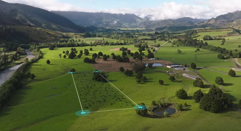 Áttörés a legeltetésben: zöld utat kapott a virtuális kerítés VIDEÓ