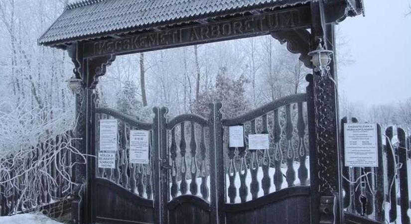 Három oka van, amiért bezárt a kecskeméti Arborétum az ünnepek előtt