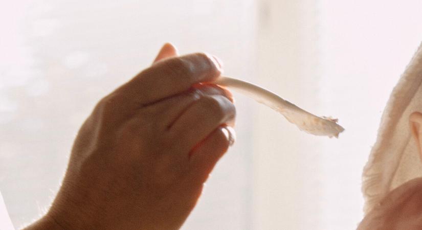 Babatápszereket hívott vissza a Nestlé – Ételmérgezést okozó baktériumot találtak bennük