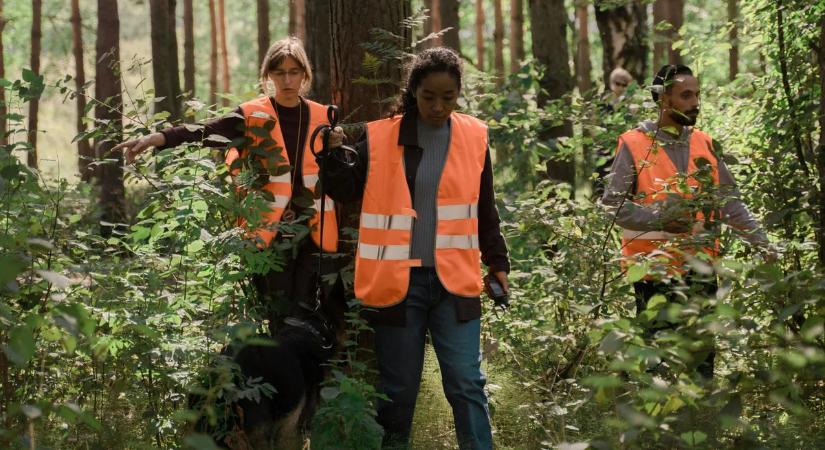 Egy autópálya melletti bokorban találtak meg az eltűnt nyugdíjast – megrázó részletek