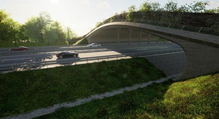 A medvéknek is biztonságos út készül a Marosvásárhely–Nyárádszereda sztrádán